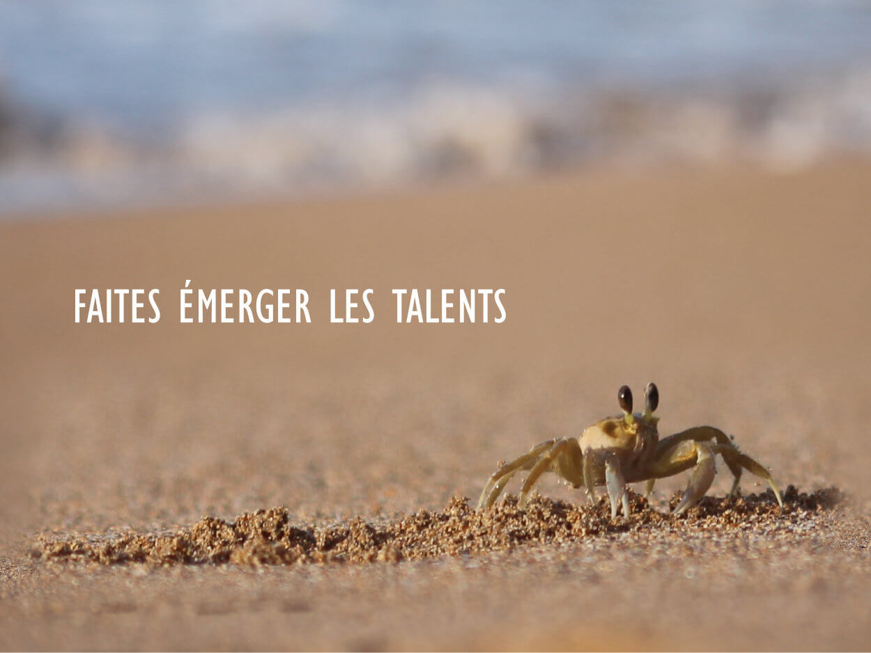 actu 2102 taxe apprentissage