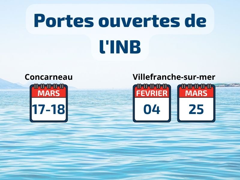 actuporteouvertenetreprise